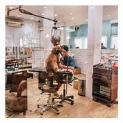 Cozy dog grooming at a pet care event in a welcoming restaurant setting.
