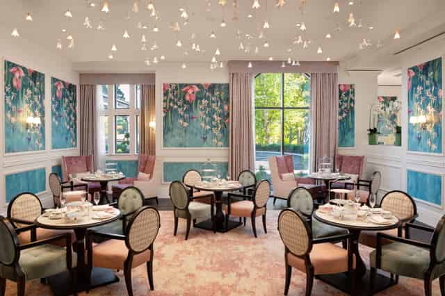 Orchid - Tea Salon