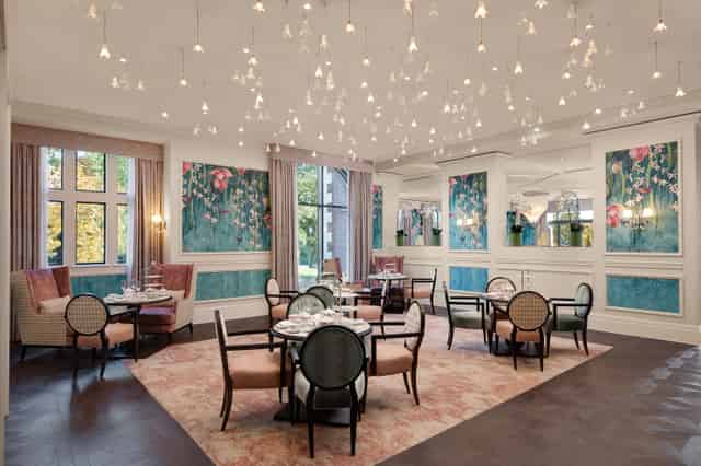 Orchid - Tea Salon