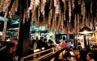 21st Birthday Venues