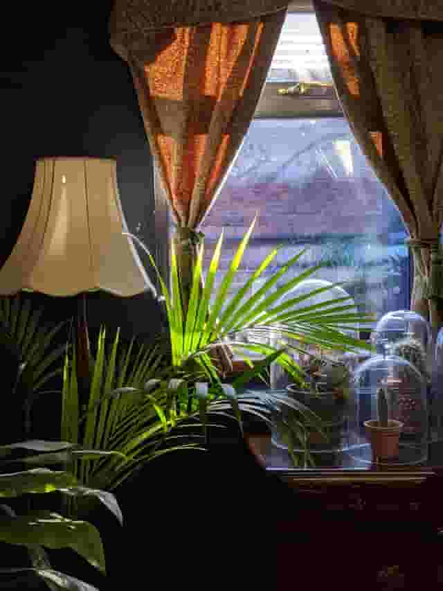 The Not Bored Room