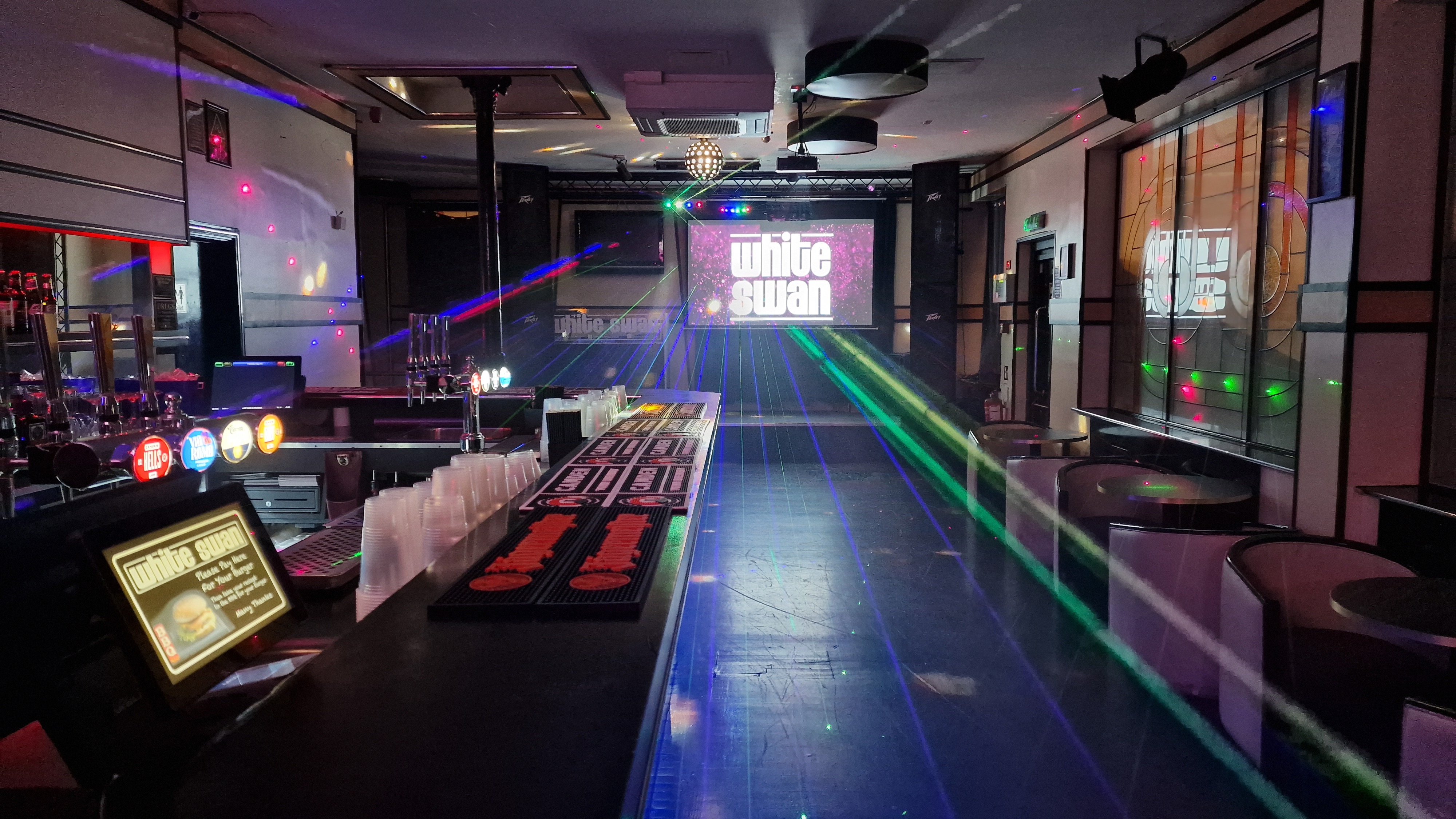 The White Swan - image 1