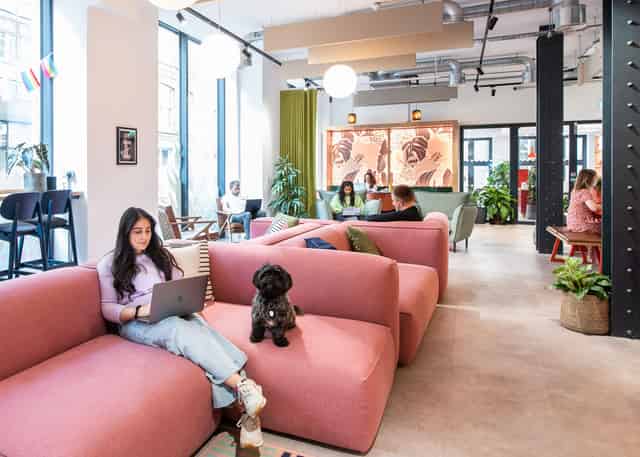 The Lounge