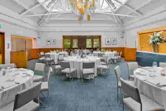 Bluebird Chelsea