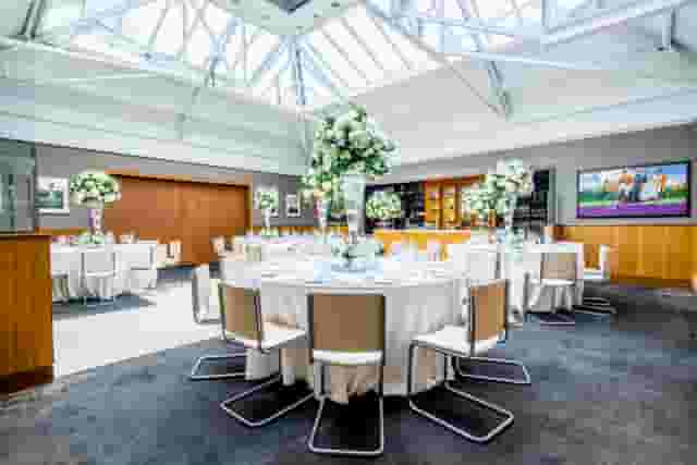 Bluebird Chelsea