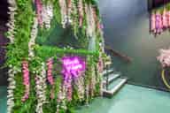 Party Venues
