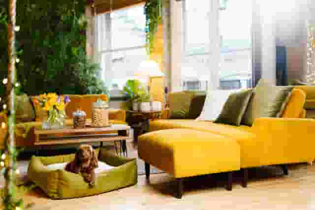 Shoreditch Treehouse