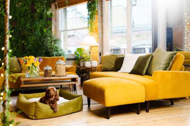 Vibrant lounge in Shoreditch Treehouse, perfect for networking and informal meetings.
