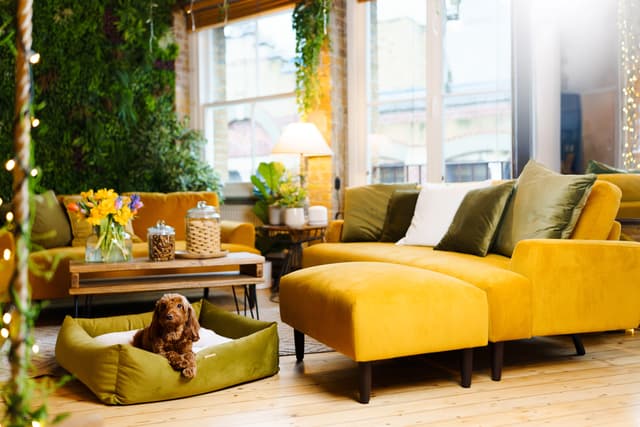 Shoreditch Treehouse