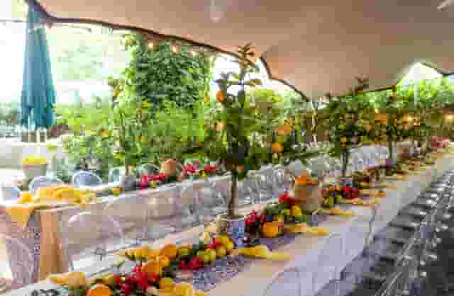 The Garden
