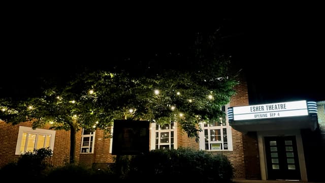 Esher Theatre