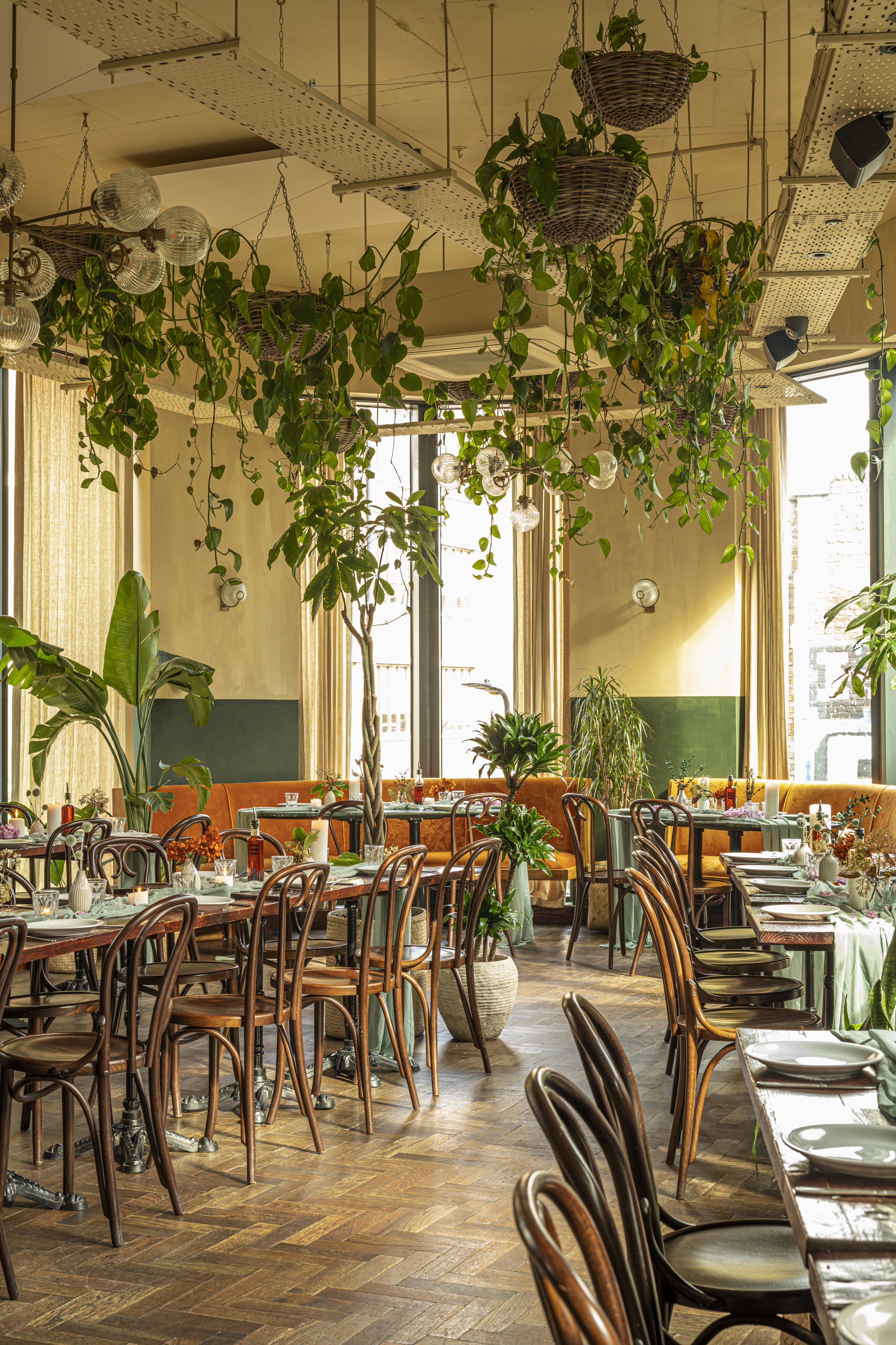 Vibrant Casa do Frango venue with lush greenery for events and gatherings. - Banner