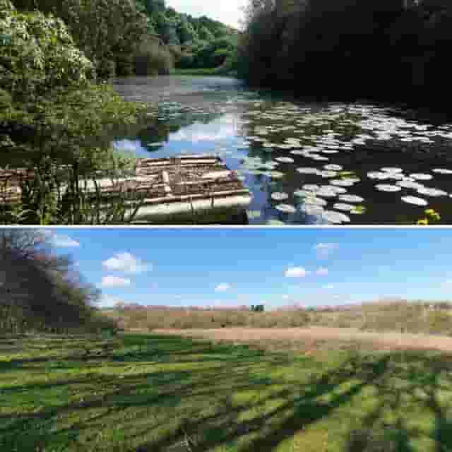 FIELD FOR HIRE NORTHAMPTONSHIRE