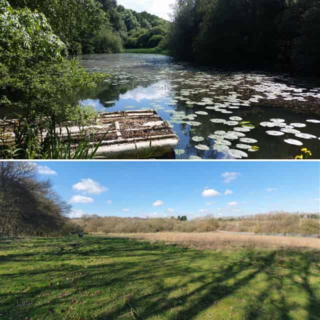FIELD FOR HIRE NORTHAMPTONSHIRE