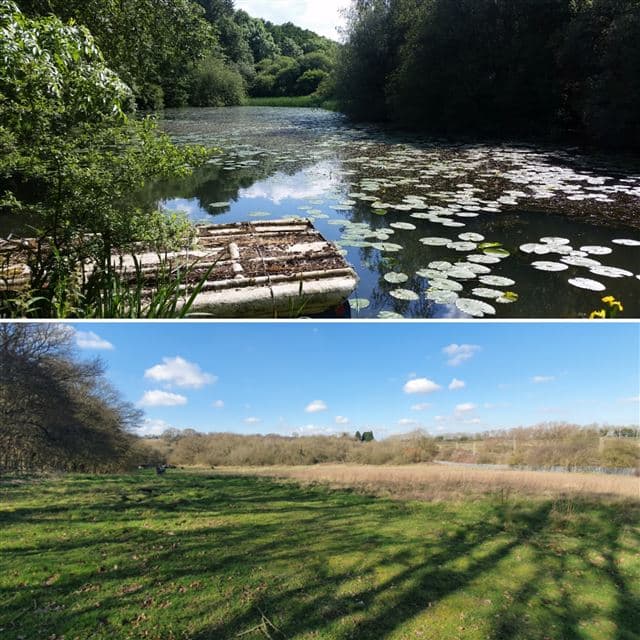 FIELD FOR HIRE NORTHAMPTONSHIRE