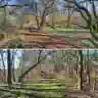 Bedfordshire