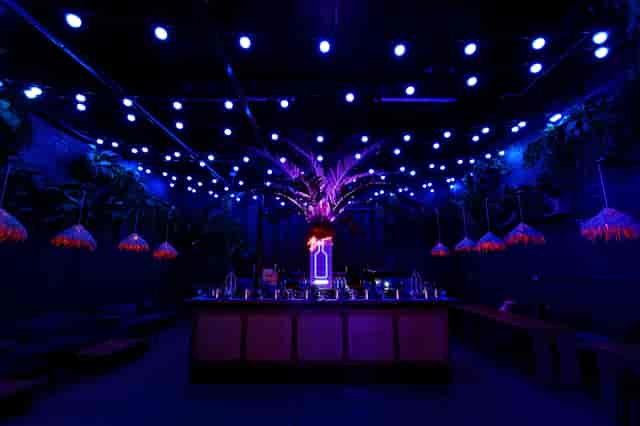 Vibrant Palm Bar at Night Tales, ideal for upscale events with dramatic lighting.