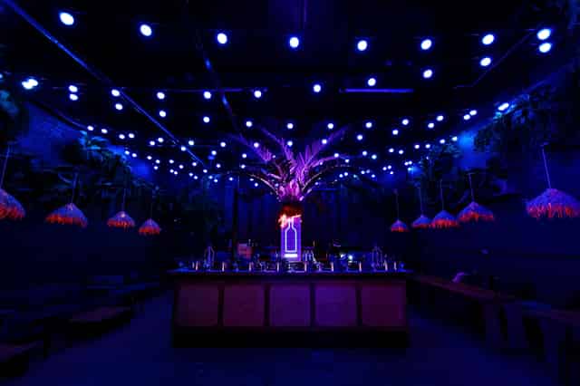 Arch 14( Formerly The Palm Bar)