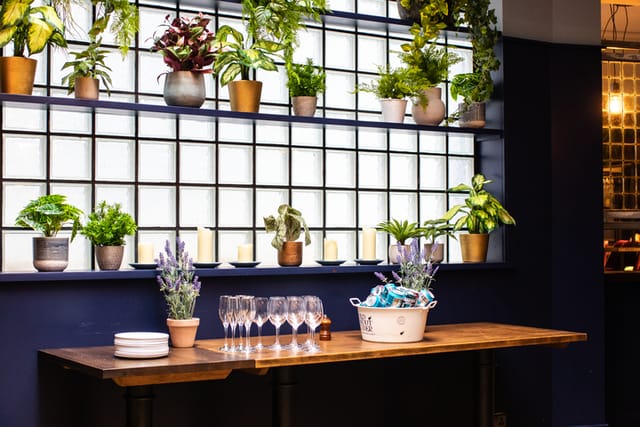 Elegant event space at The Snug, featuring a wooden table and lush greenery for gatherings.