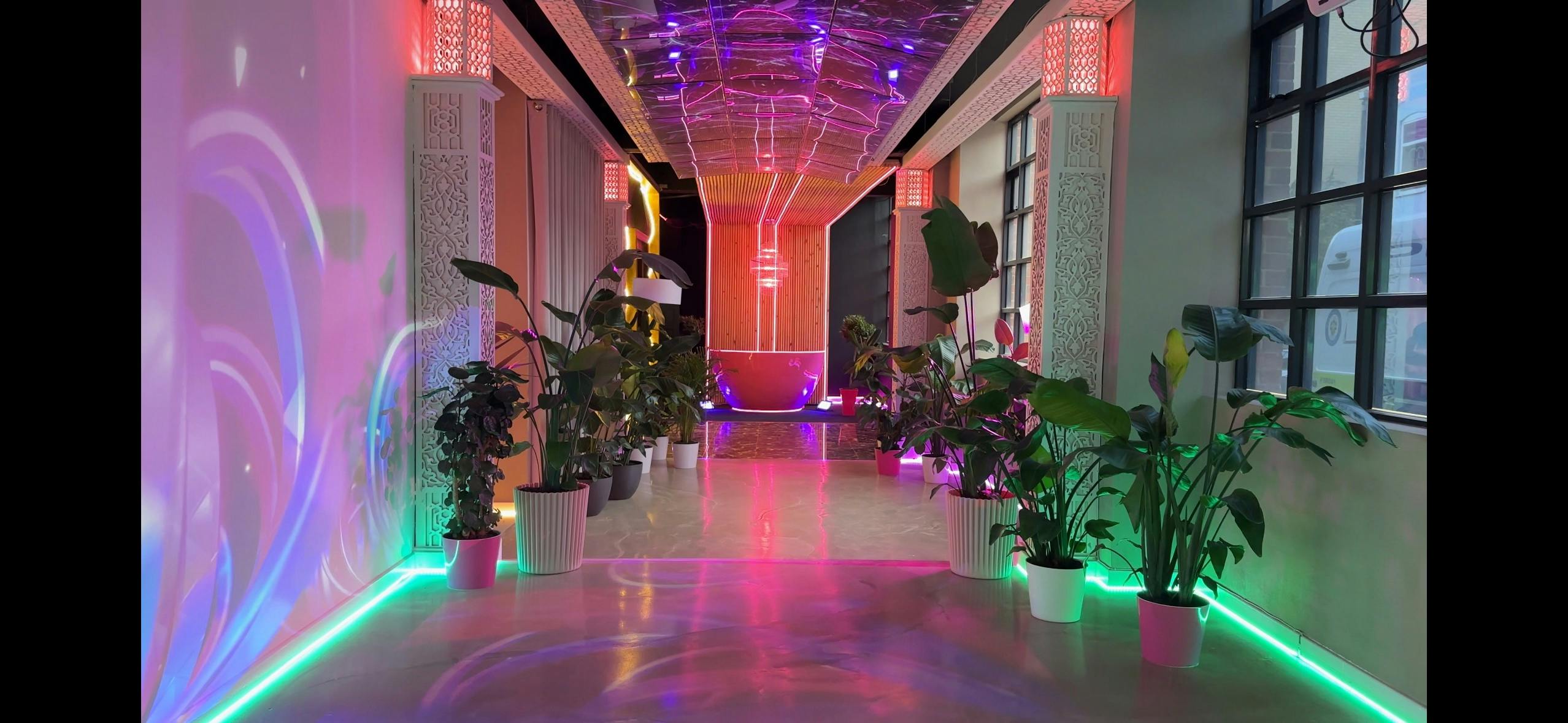 Vibrant event space with colorful lighting and greenery at The Room Digital Gallery.