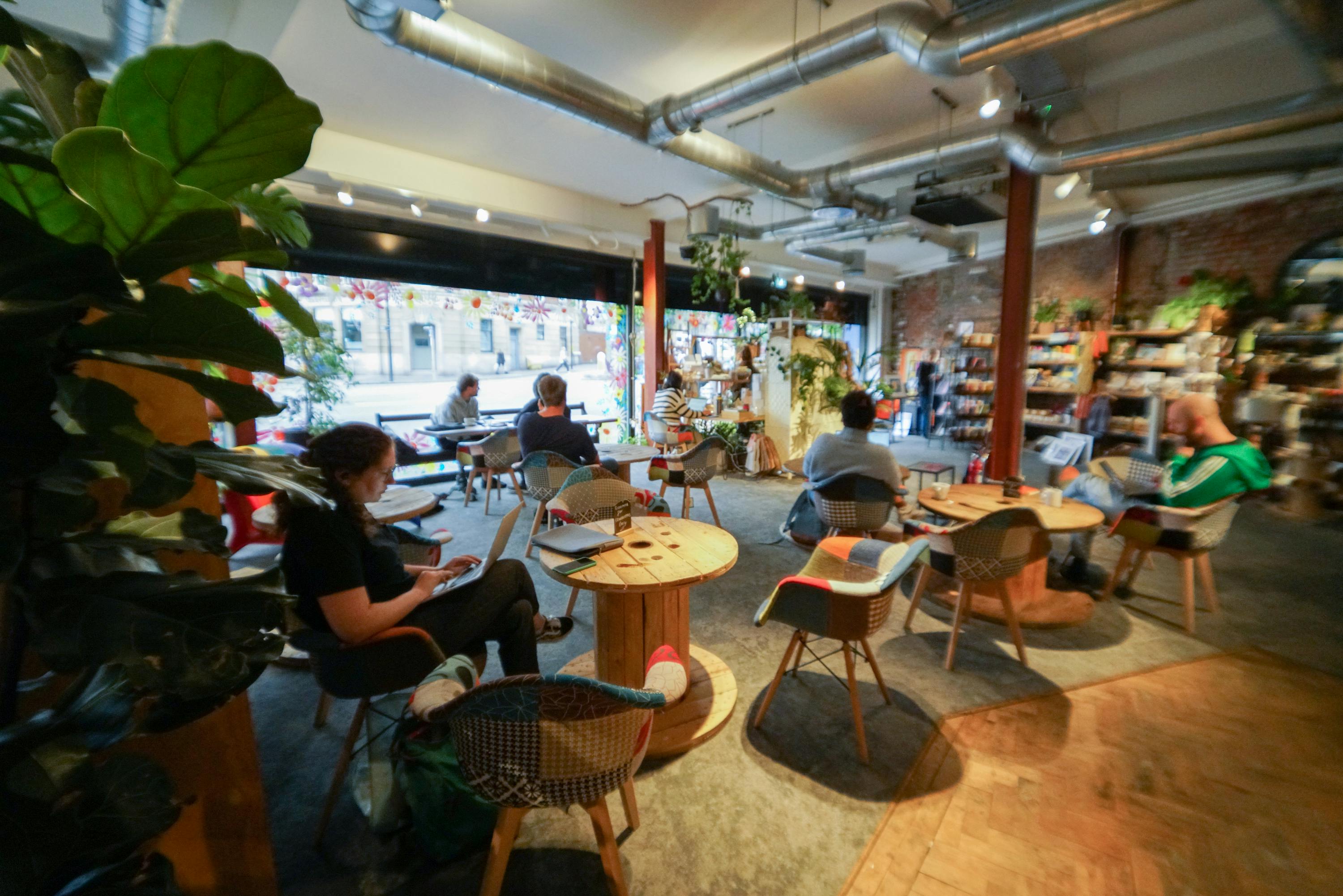 Cozy modern event space with natural light, ideal for meetings and gatherings.