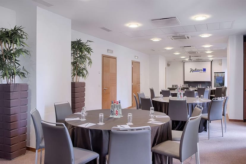 Blu Conference room at Radisson Blu Milan, ideal for corporate events and workshops.