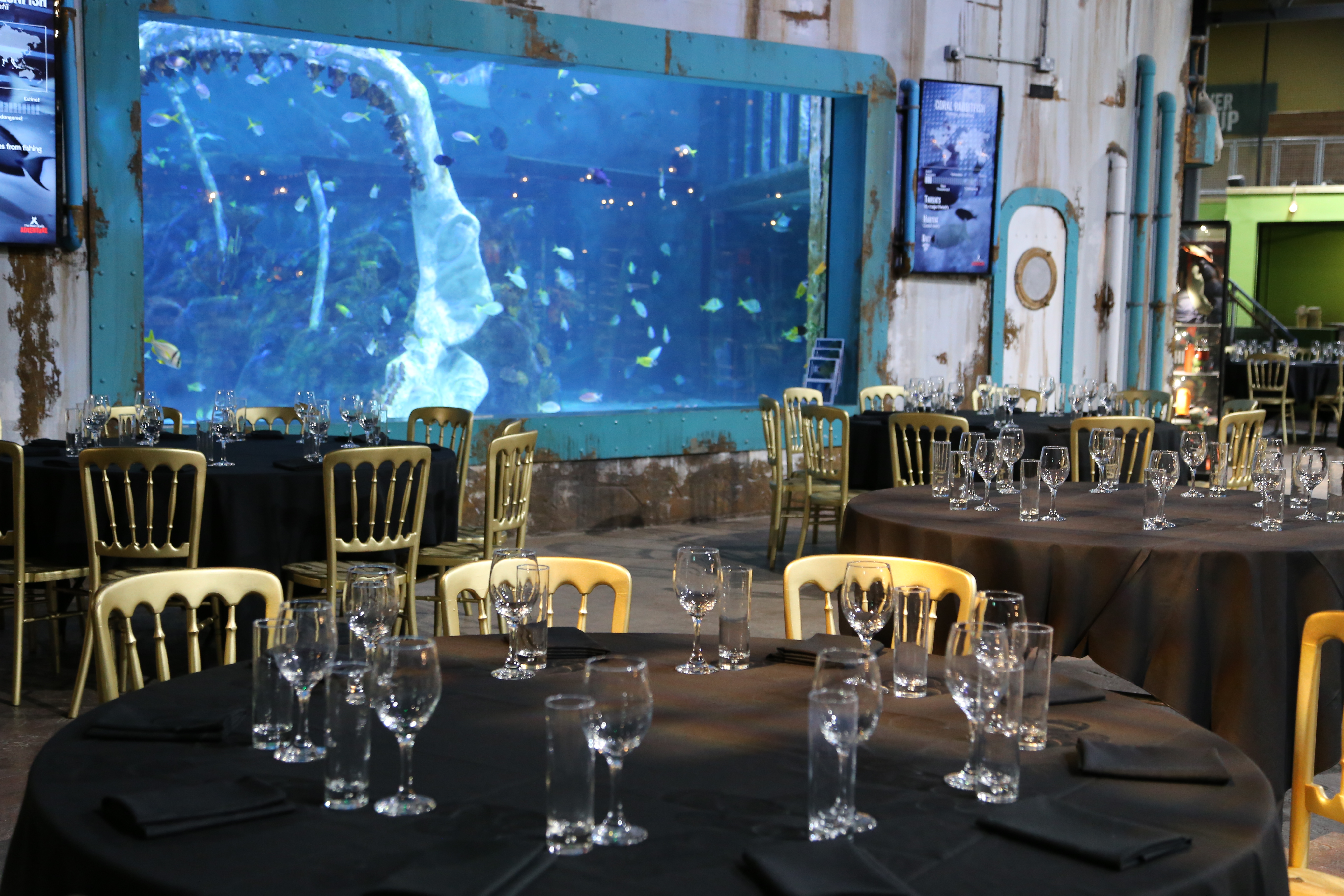 Bear Grylls Adventure - image 1