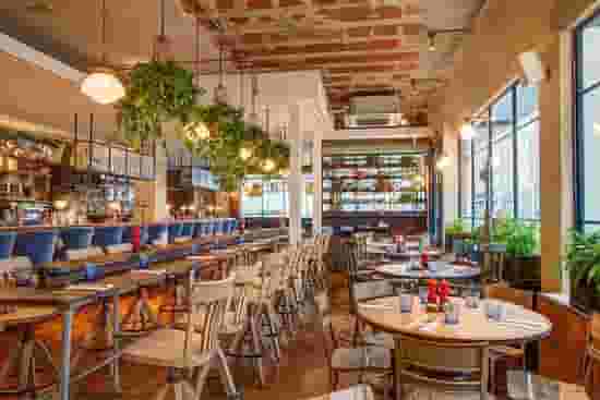 Riding House Cafe, Bloomsbury
