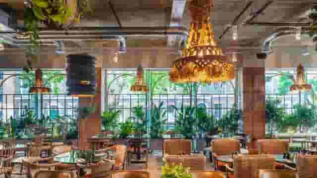 Riding House Cafe, Bloomsbury