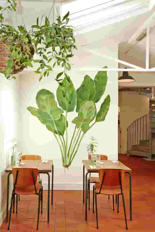 Spinach East Dulwich