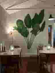 Party Venues
