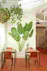 Baby Shower Venues