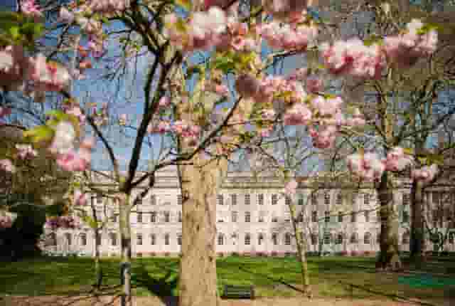 Honourable Society of Lincoln's Inn
