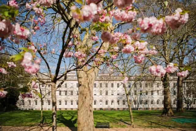 Lincoln's Inn Summer Event | North Lawn, Architecture