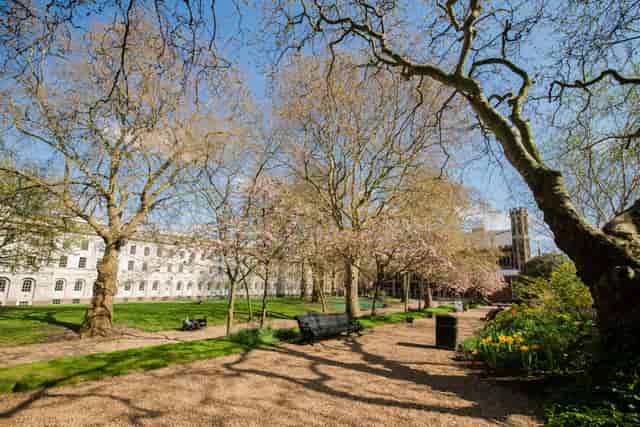 Lincoln's Inn North Lawn summer event, outdoor venue, corporate retreat