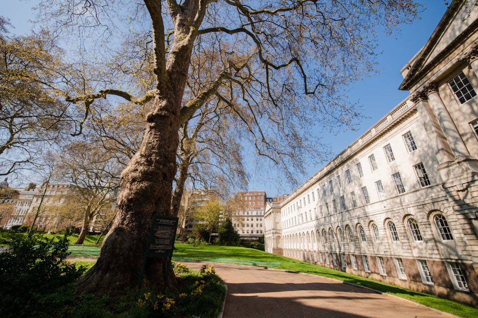 Honourable Society of Lincoln's Inn - Summer Events on the North Lawn image 1
