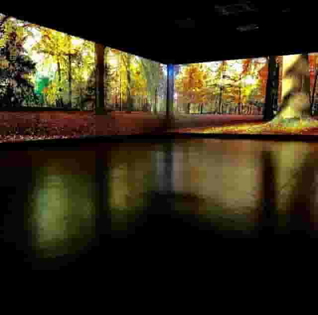Studio Society - Immersive Space