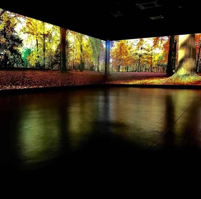 Studio Society - Immersive Space