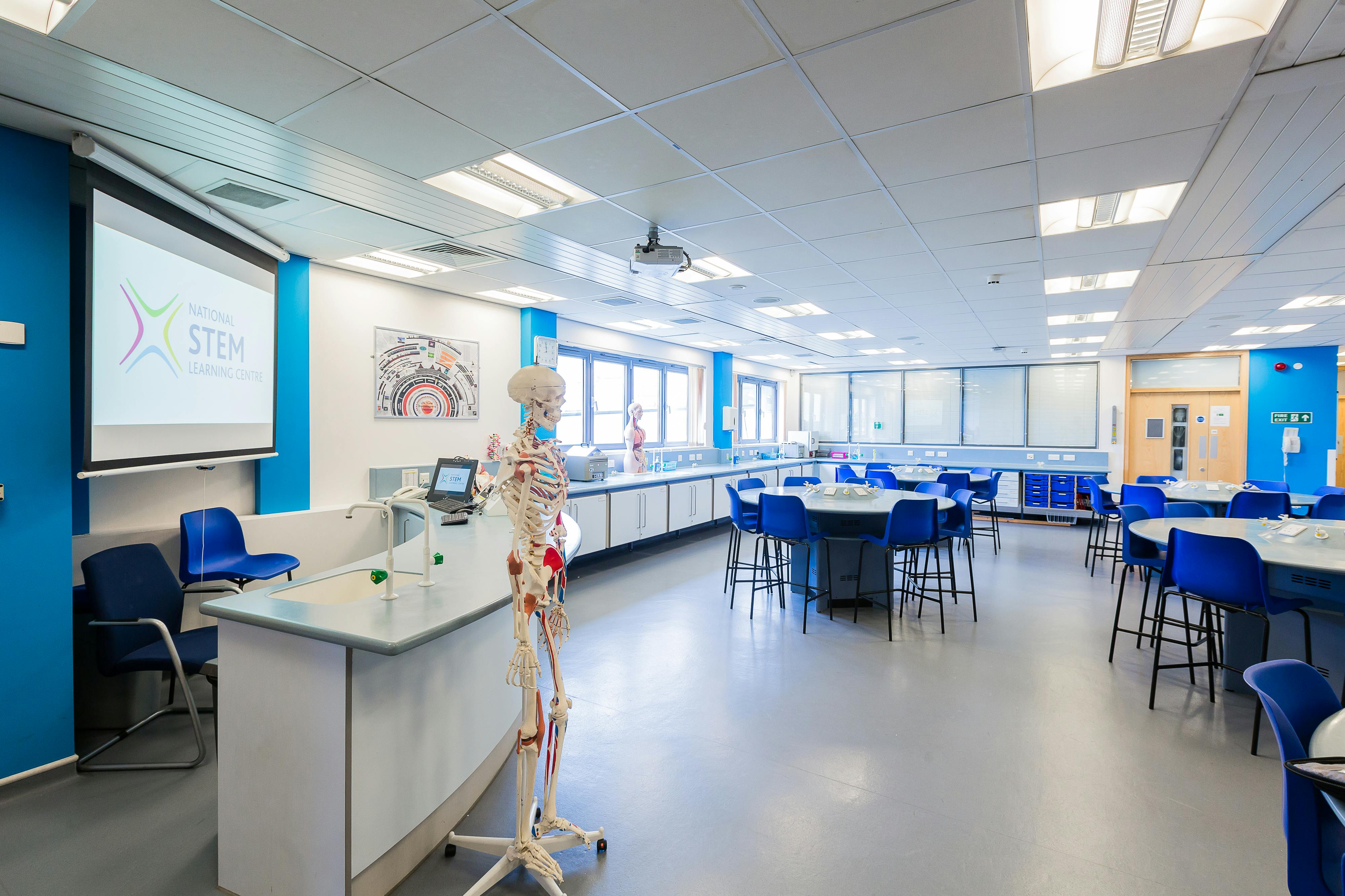 STEM classroom with skeleton model for health sciences workshops and training sessions.