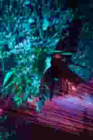 Unusual Venues