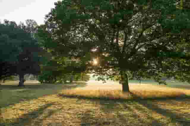 Broadlands Estates