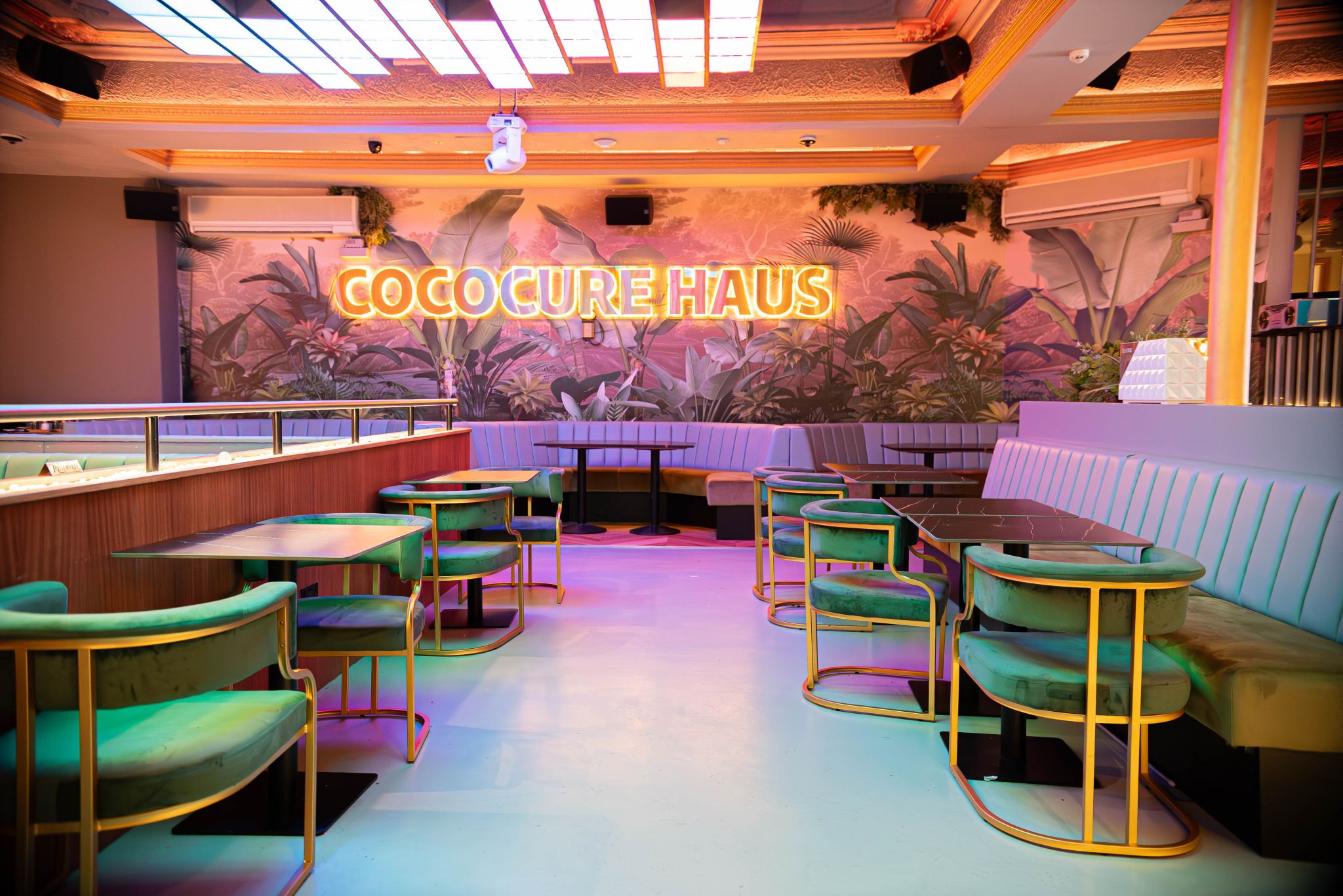 Cococure Haus event space with modern seating and tropical decor for gatherings. - Banner