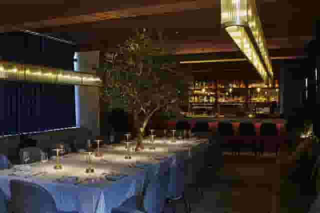 Sparrow Italia Mayfair