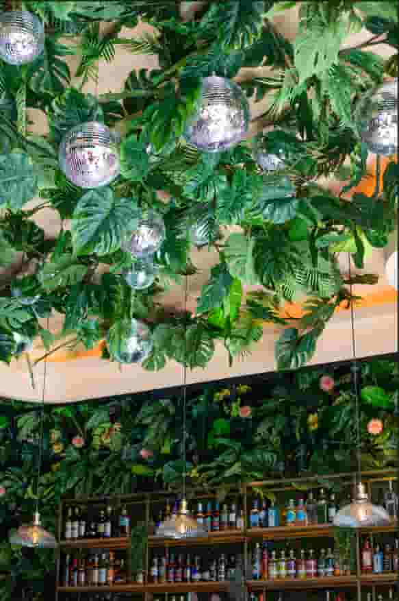 The Palm House