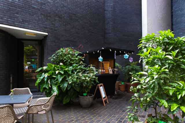 Medicinal Garden