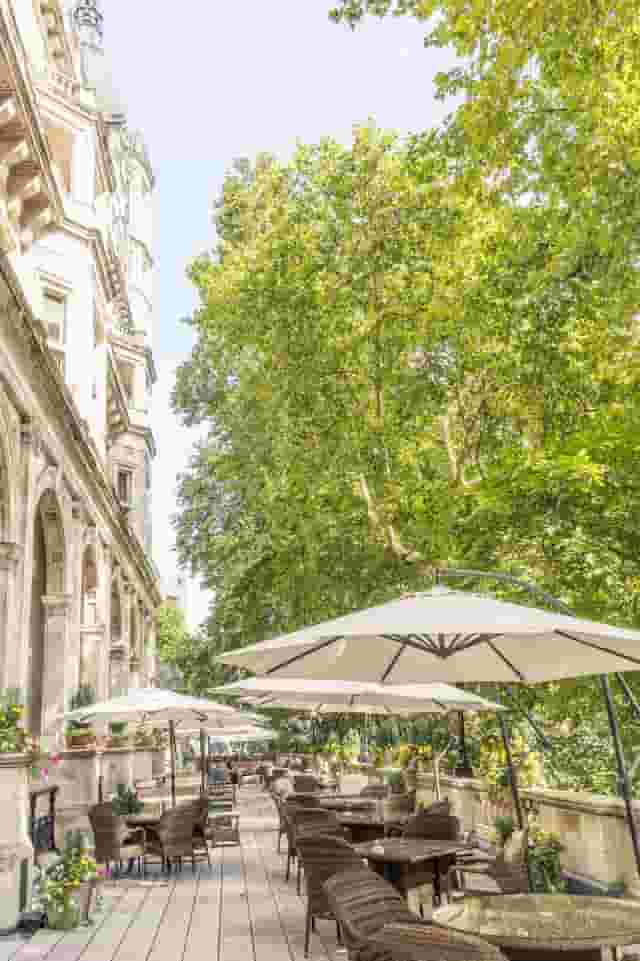 The Terrace