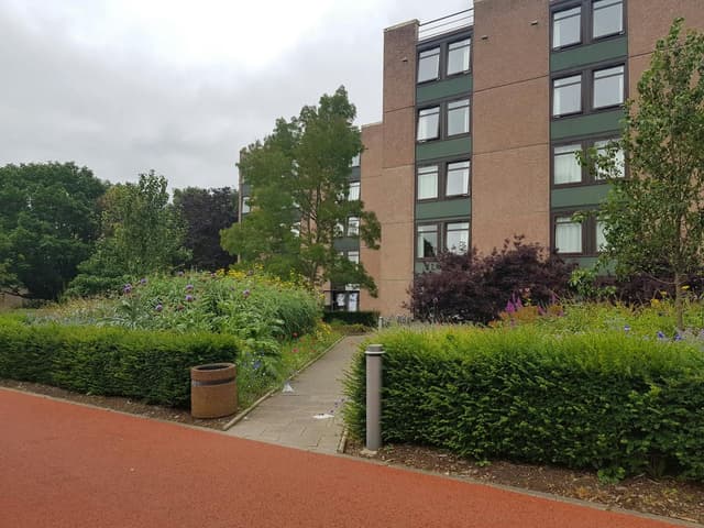 South Hall Complex
