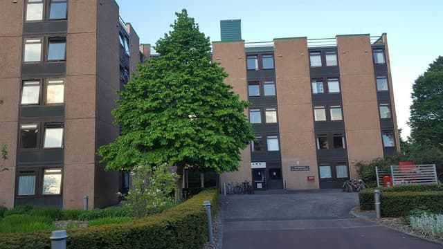 South Hall Complex