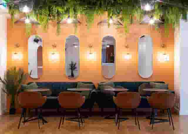 The Plenary Area