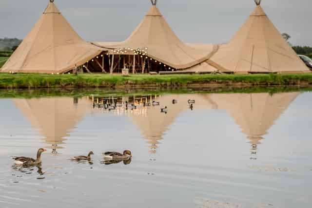 Tipi